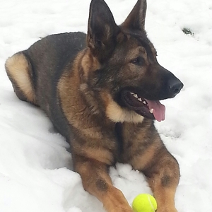 Fundraising Page: Niki Banke